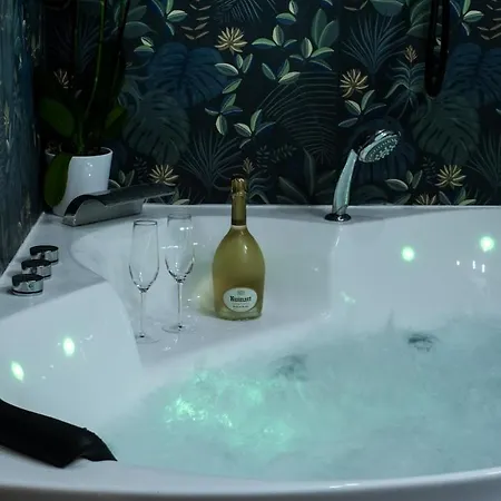 Апартаменты Vue Exceptionnelle, Baignoire Balneo, Parking&clim Лион