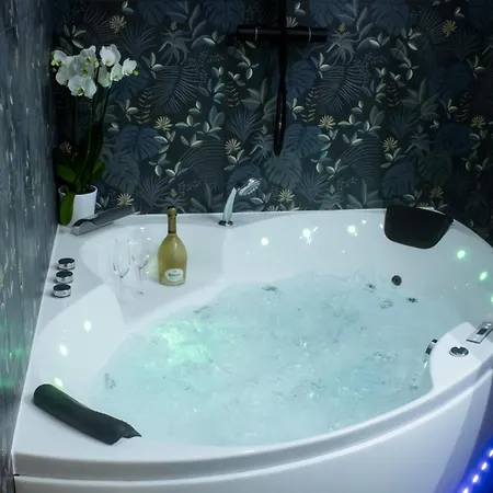 Appartement Vue Exceptionnelle, Baignoire Balneo, Parking&clim Lyon